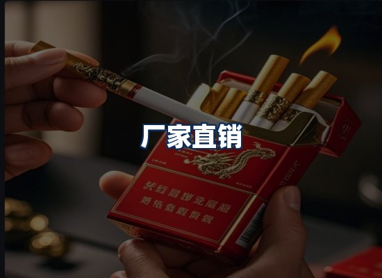 专业团队办公环境
